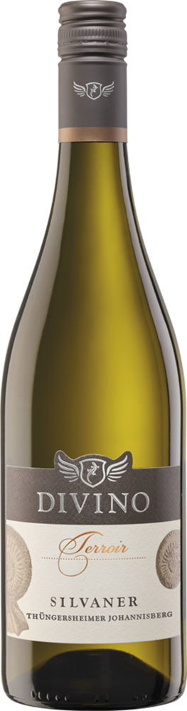 2025 DIVINO Terroir Thüngersheimer Johannisberg Silvaner