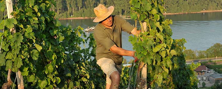 Dätwyl
