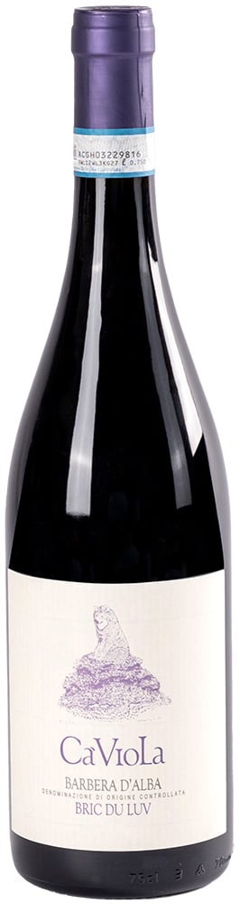 2024 Barbera "Bric du Luv" Alba DOC