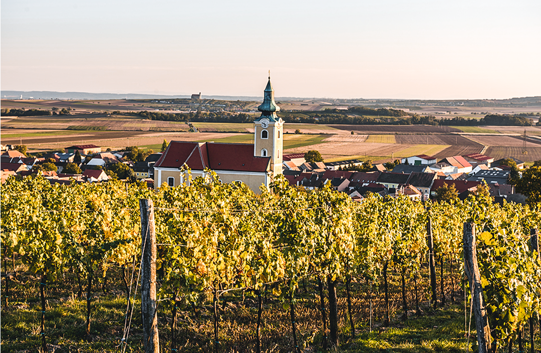 Birsak