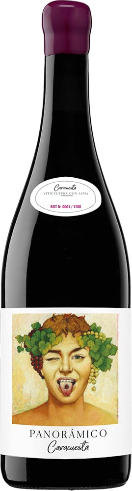 2019 Panorámico Caracuesta Rioja DOCa
