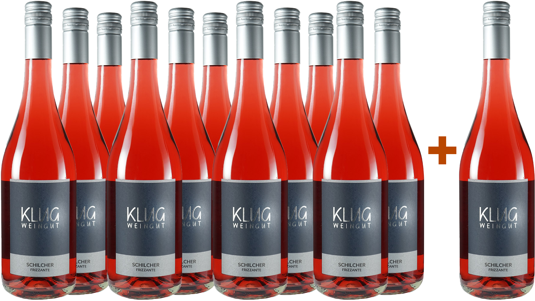 11+1 Paket Schilcher Frizzante