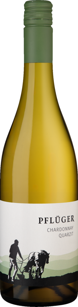 2025 Pflüger Chardonnay vom Quarzit BIO