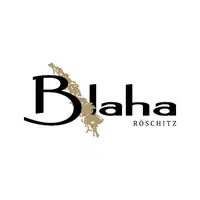Martin Blaha Logo