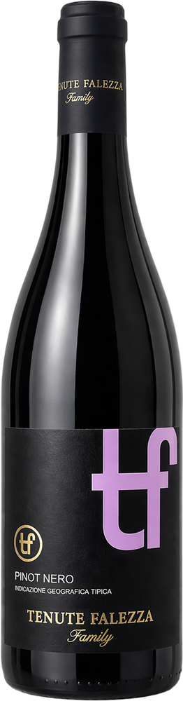 2025 Pinot Nero Veneto IGT