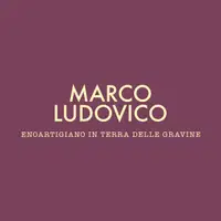 Marco Ludovico