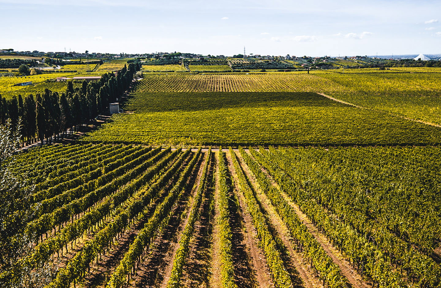 Tenuta di Pietra Porzia