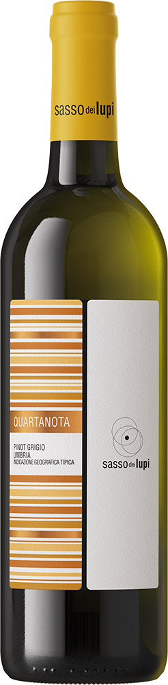 2024 Quartanota Pinot Grigio Umbria IGP