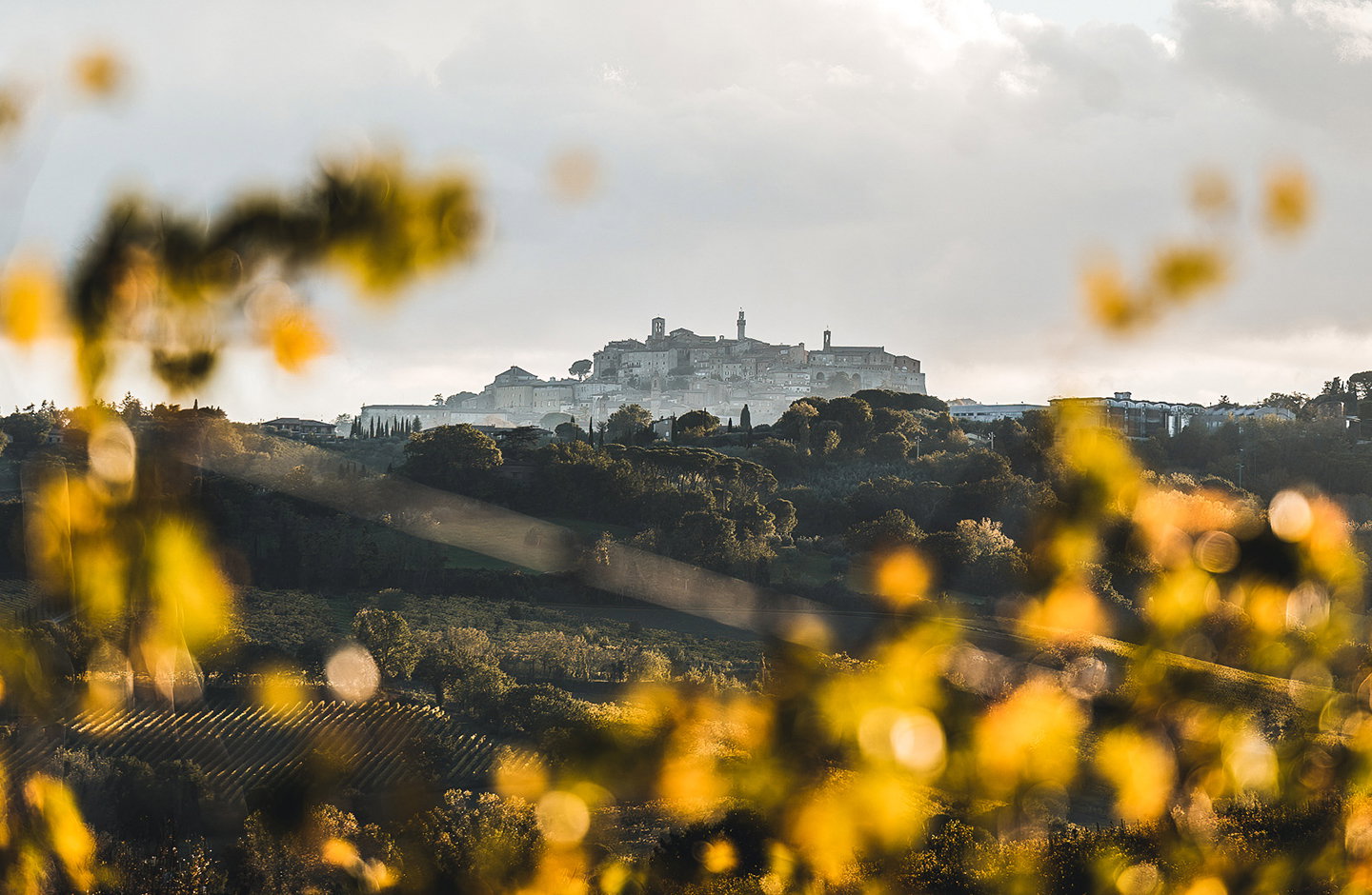 Abbadia Vecchia