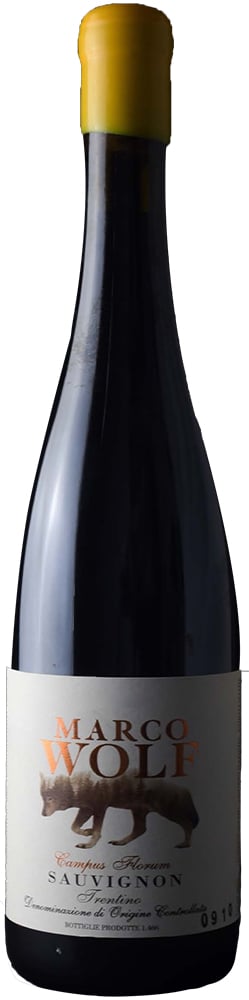2024 Sauvignon Campus Florum Trentino DOC
