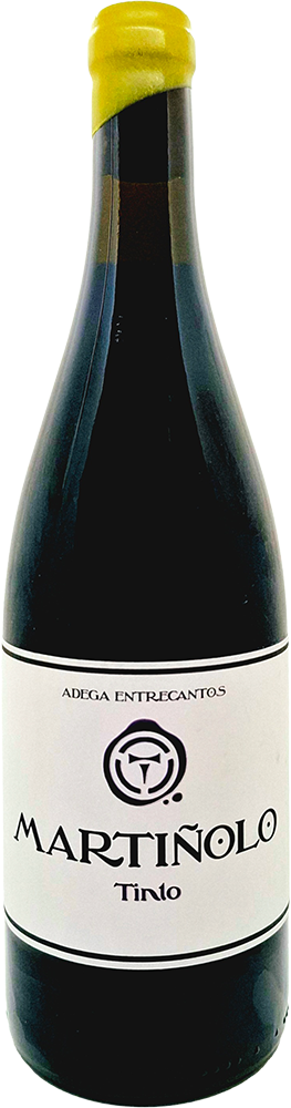 2022 Martiñolo Tinto