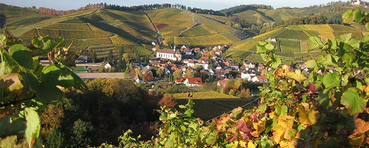 Schwörer