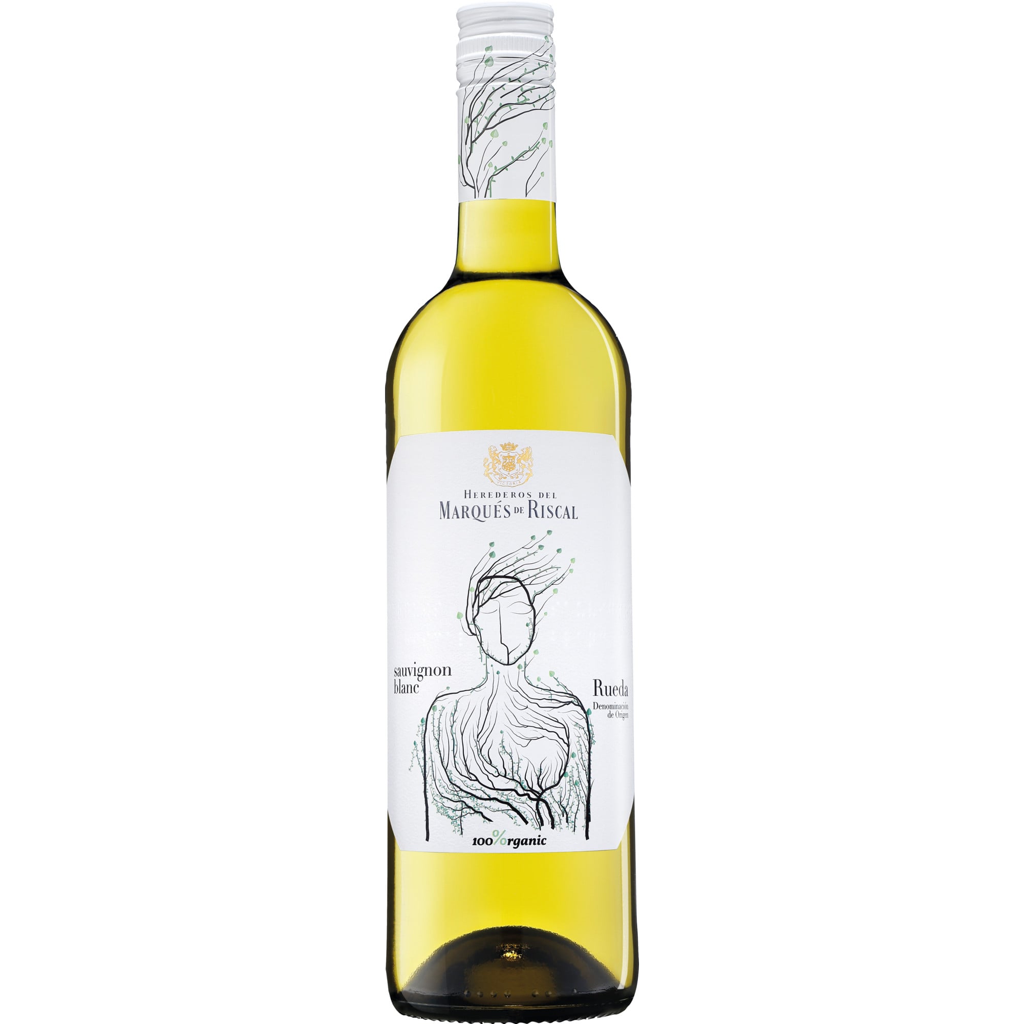 2024 Marqués de Riscal Rueda Sauvignon Blanc BIO reflection