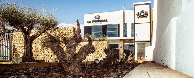 La Purisima