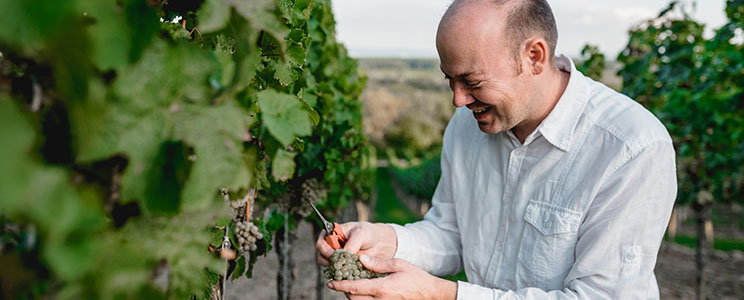 Bioweingut Götz