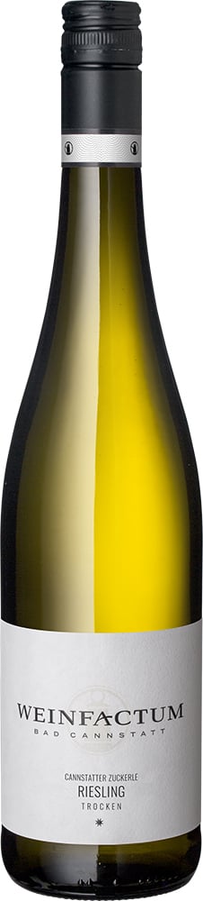 2025 Cannstatter Zuckerle Riesling *