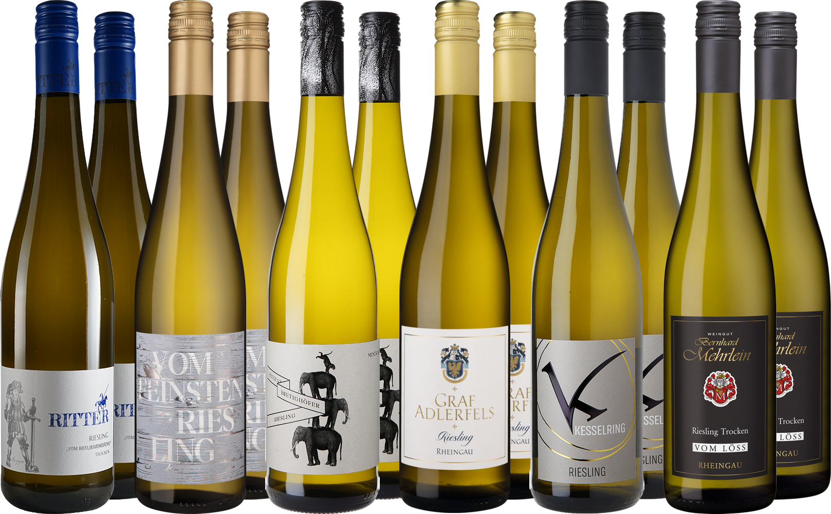Großes Riesling Entdecker-Paket