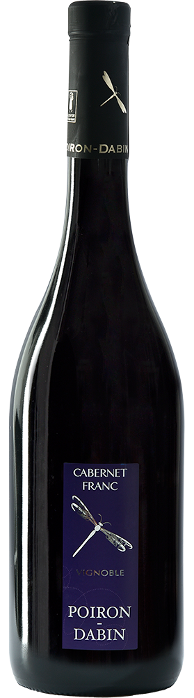 2023 Cabernet Franc