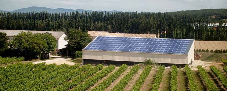 Domaine Ferrotin
