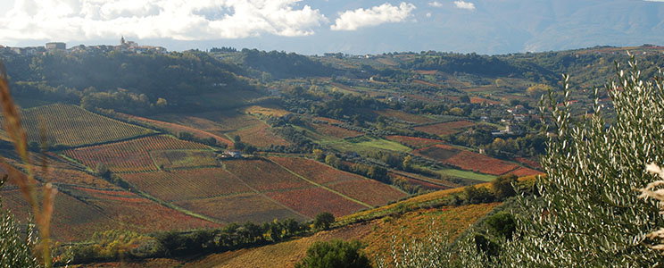 Torre Zambra