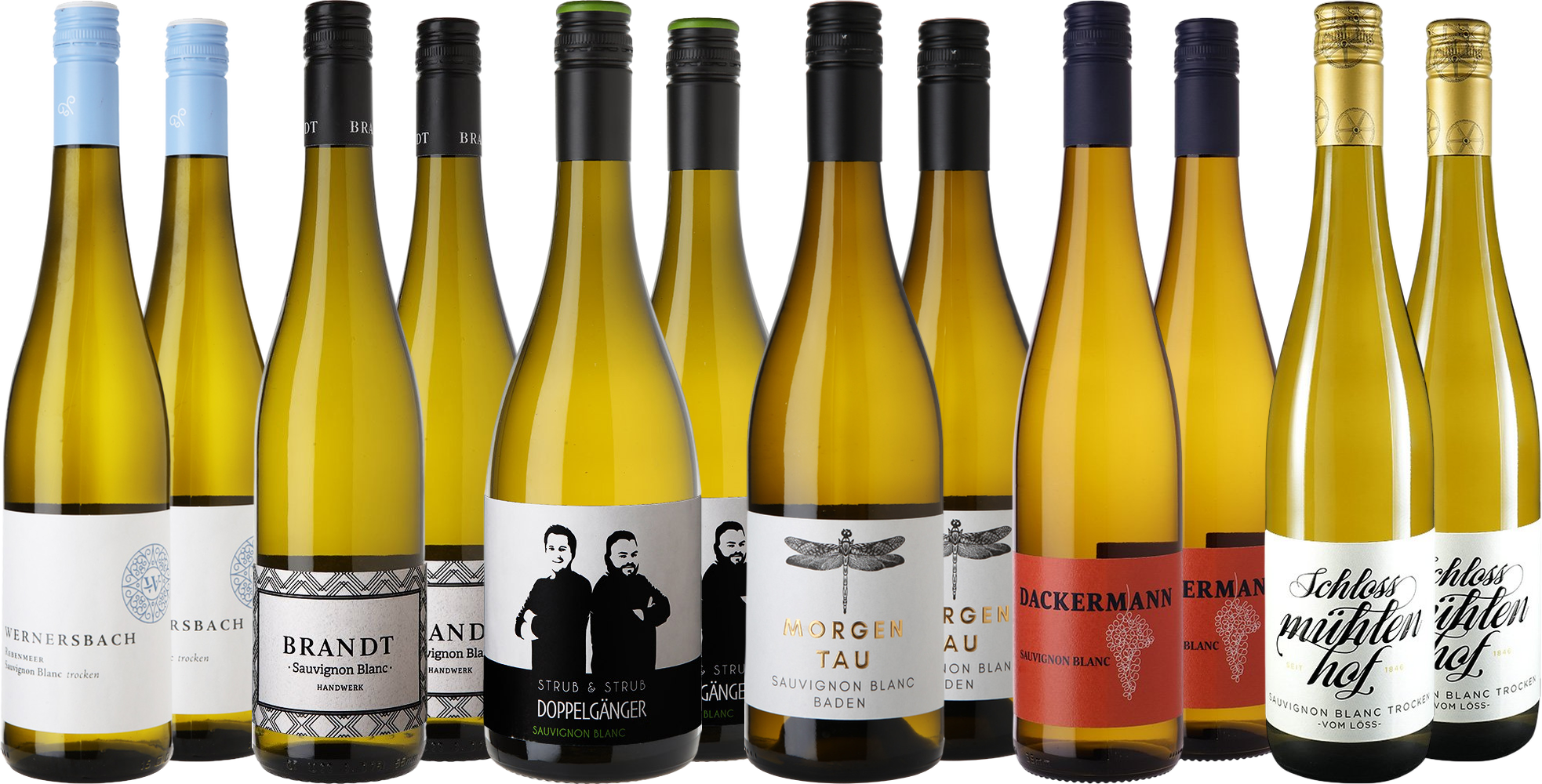 Großes Sauvignon Blanc Entdecker-Paket