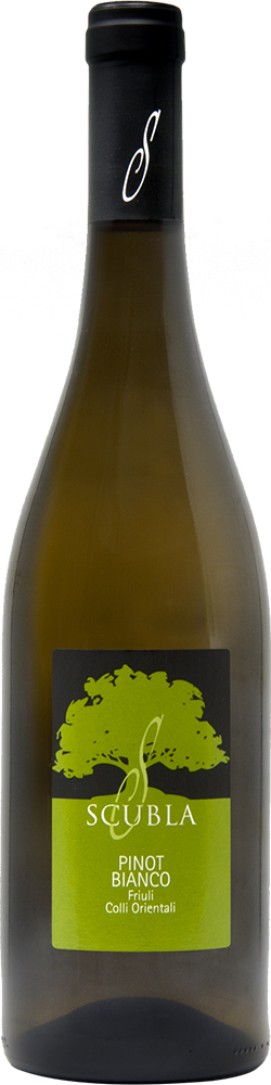 2024 Pinot Bianco Friuli Colli Orientali DOC reflection