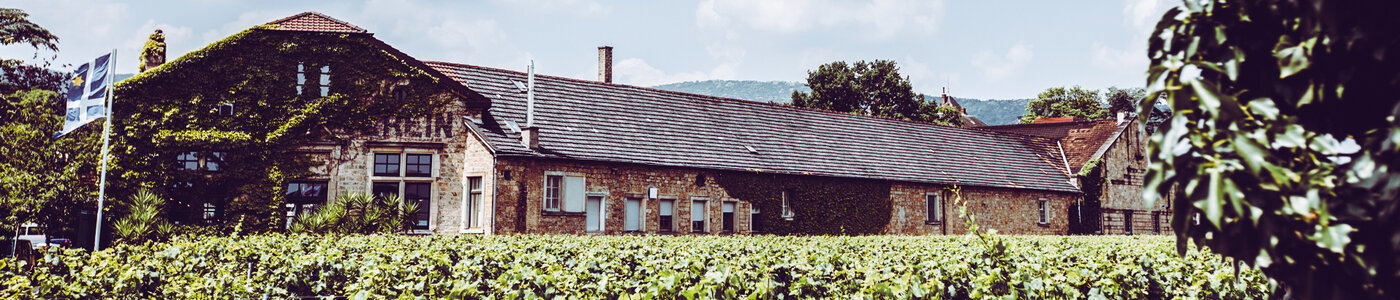 Winzerverein Deidesheim