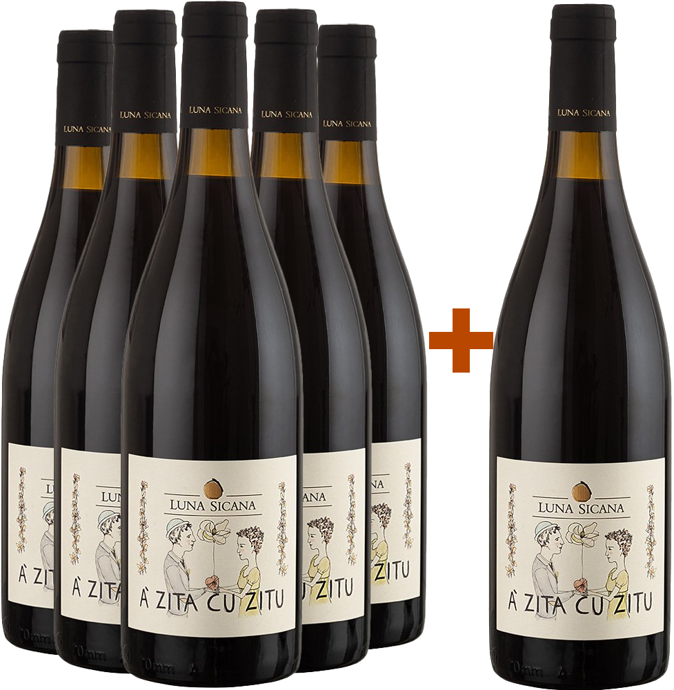 5+1 Paket 'A Zita Cu Zitu Sicilia DOC BIO BIO