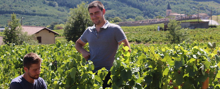 Domaine Laurent Perrachon