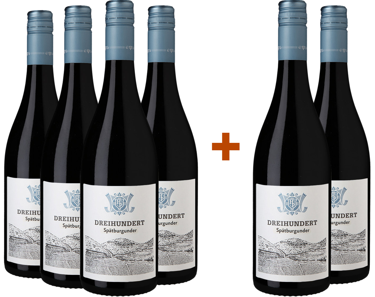 4+2 Paket Dreihundert Spätburgunder