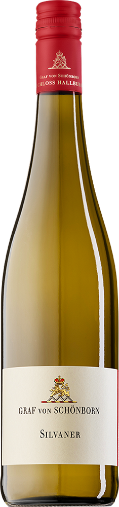 2025 Schloss Hallburg Silvaner