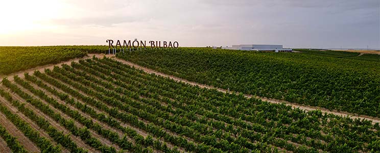 El Viaje De Ramón