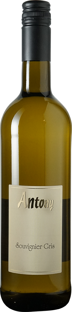 2024 Souvignier Gris