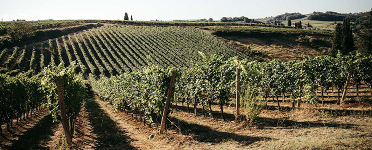 Poggio Rozzi