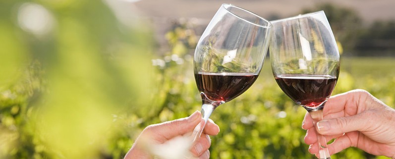 Wein Zimmer