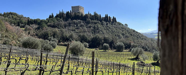 Ripa d'Orcia