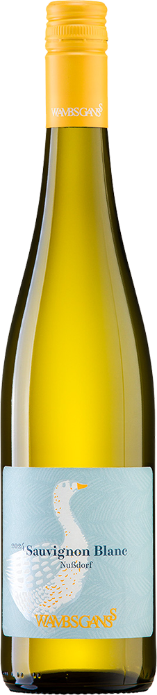 2025 Sauvignon Blanc - Nussdorf
