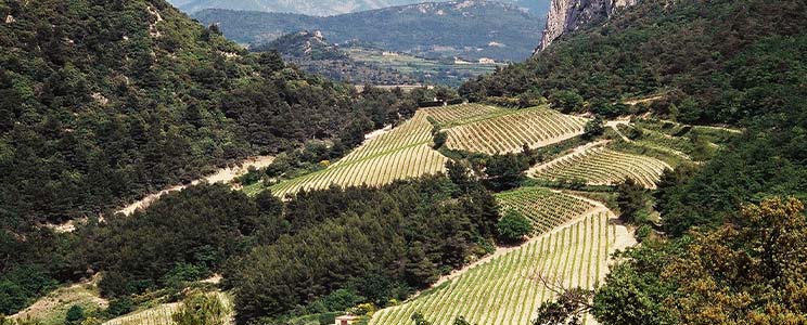 Domaine Notre Dame des Pallieres