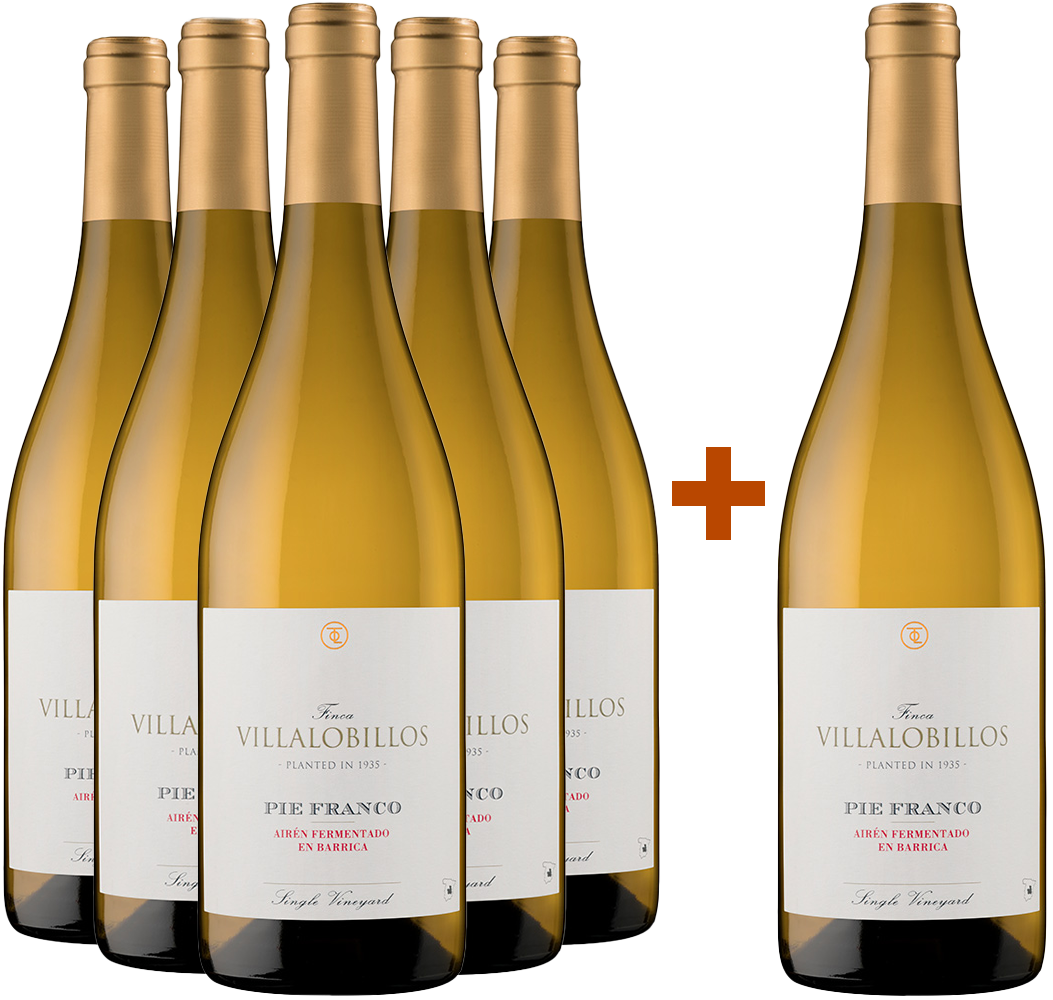 Aktionspaket 5+1 Finca Villalobillos Airén Pie Franco Barrica Castilla VT