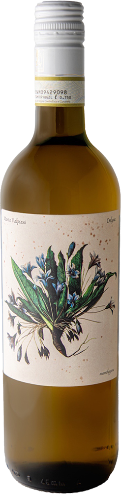 2024 Delyus - Romagna Albana Secco DOCG BIO