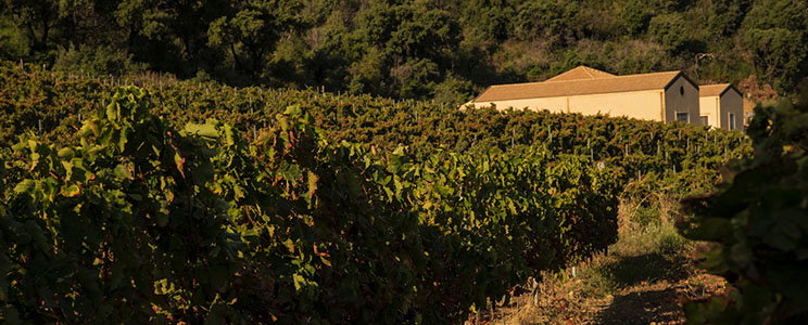 Guzman Tenuta Moreri