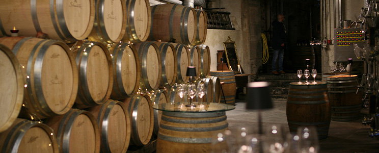 Vins Schoenheitz