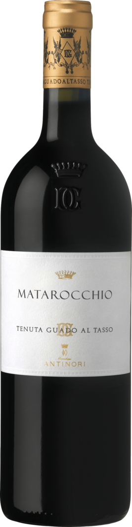 2019 Matarocchio