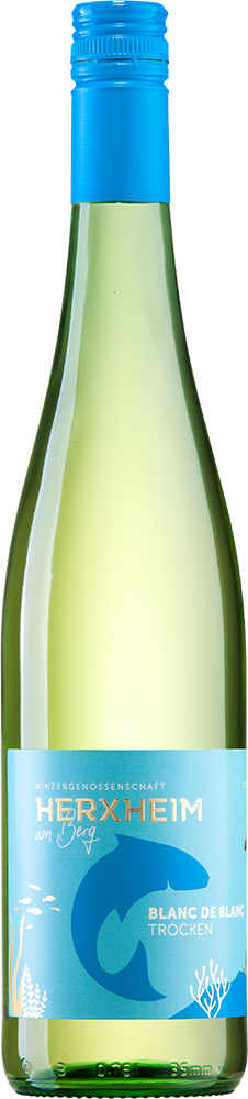2024 Blanc de Blanc Weißweincuvée