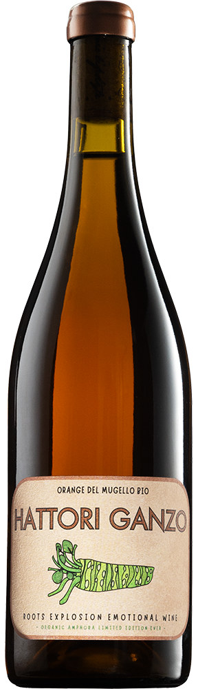 2022 Hattori Ganzo Orange Wine IGT Toscana BIO reflection