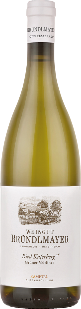 2020 Bründlmayer Käferberg Ried Grüner Veltliner BIO