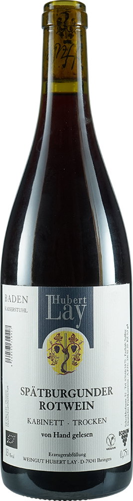 2023 Blauer Spätburgunder Gutswein BIO