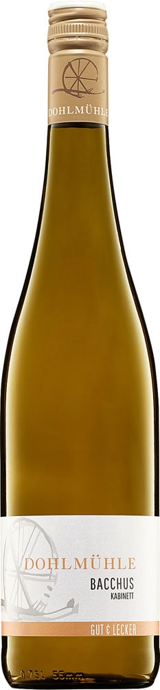 2024 Bacchus