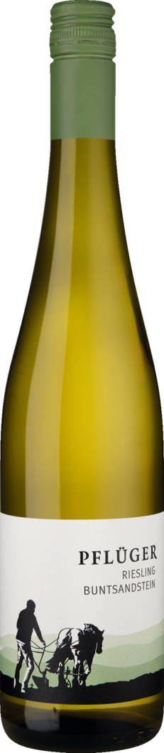 2025 Pflüger Riesling vom Buntsandstein BIO