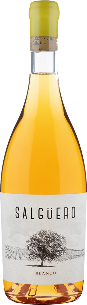 2021 Pradorey Salgüero Blanco